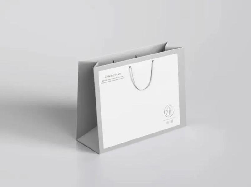 Paper Bag