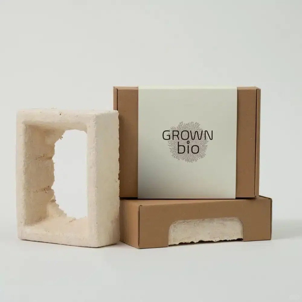 mushroom packaging box