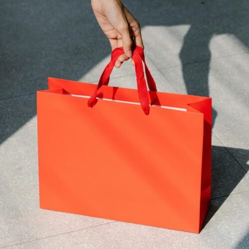 Plain Gift Bags‌