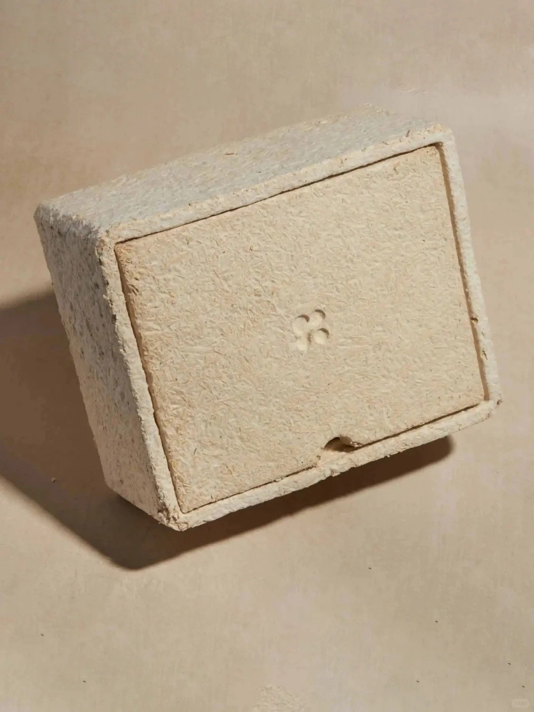 mushroom packaging