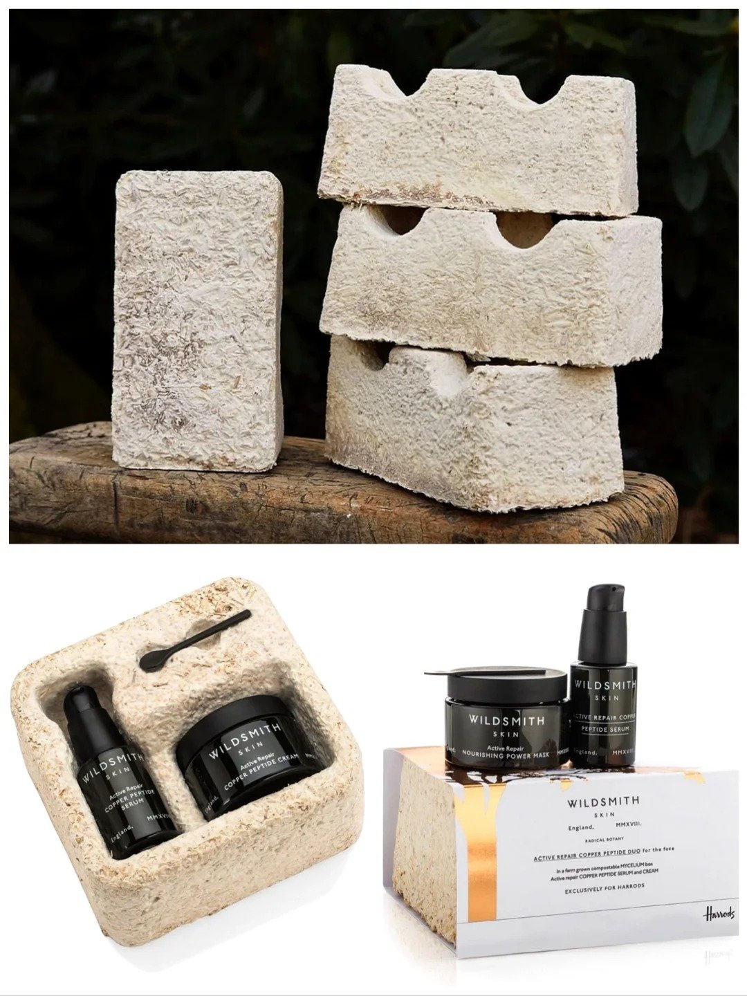 Mycelium Mushroom Packaging