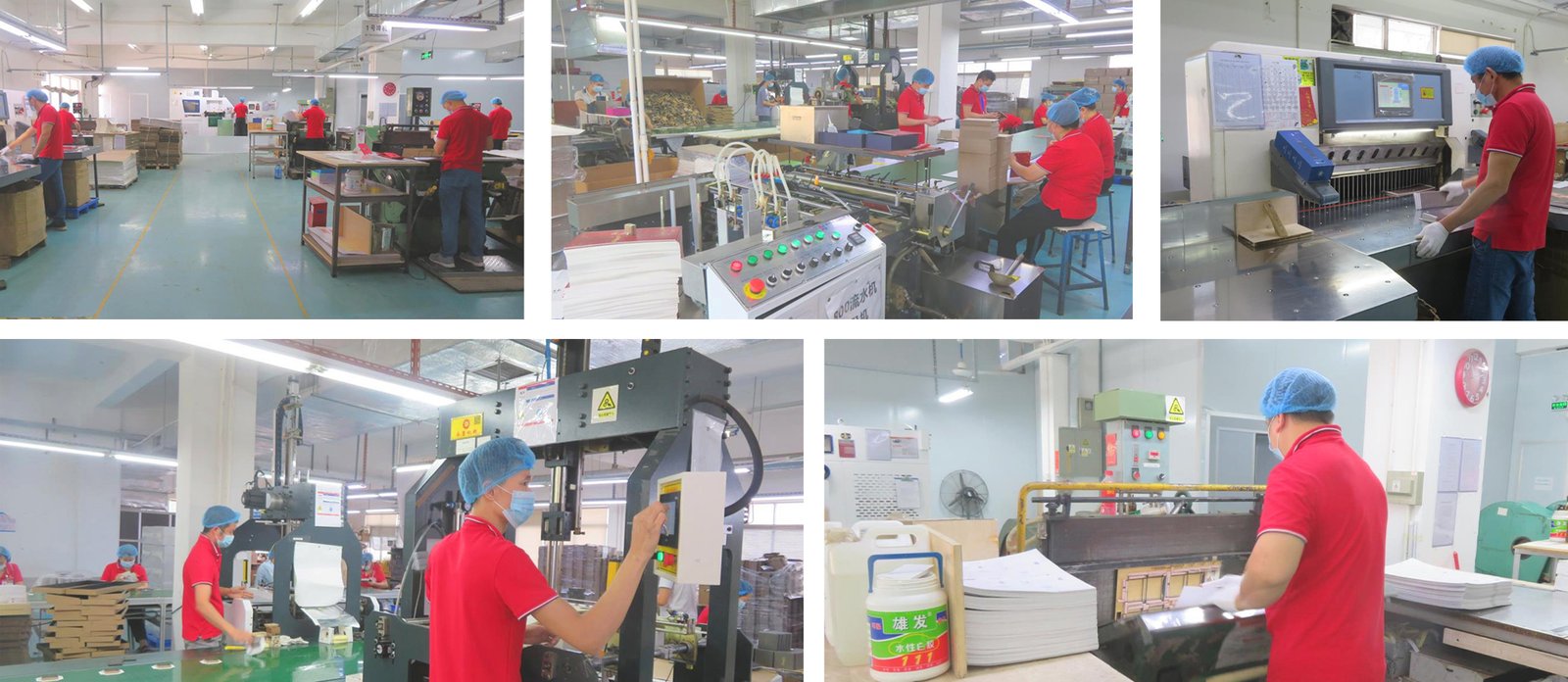 Paper box manufacturers workshop