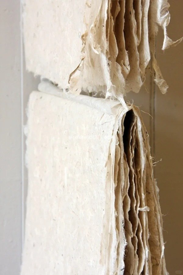 bagasse (sugar cane waste)