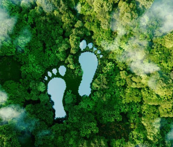 sustainable packaging
