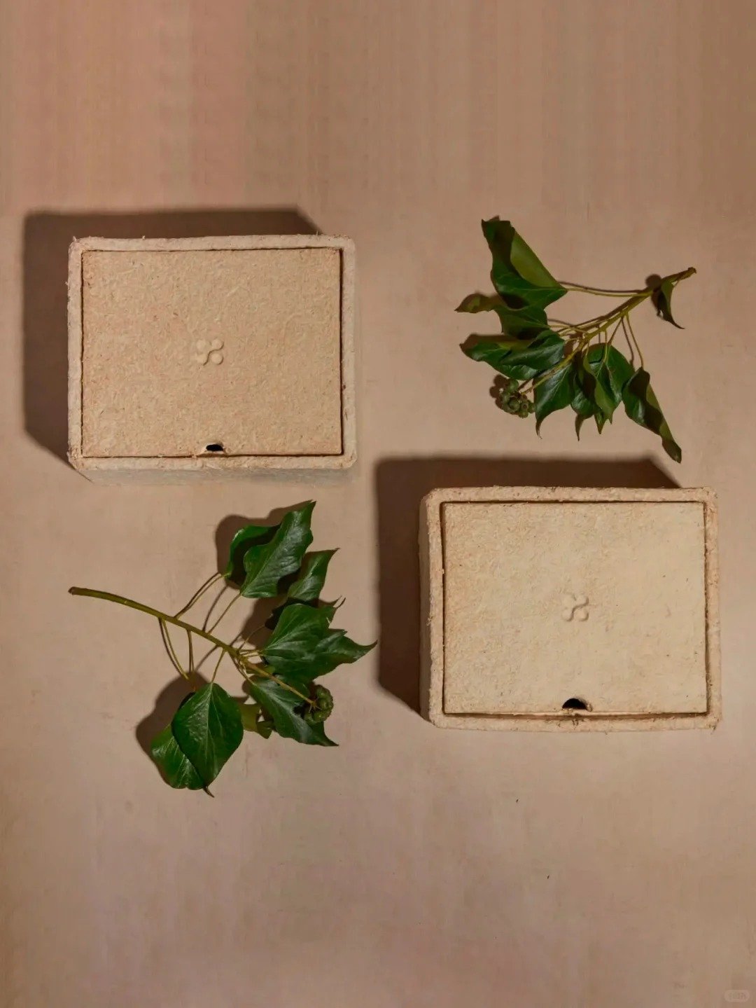 sustainable mushroom packaging
