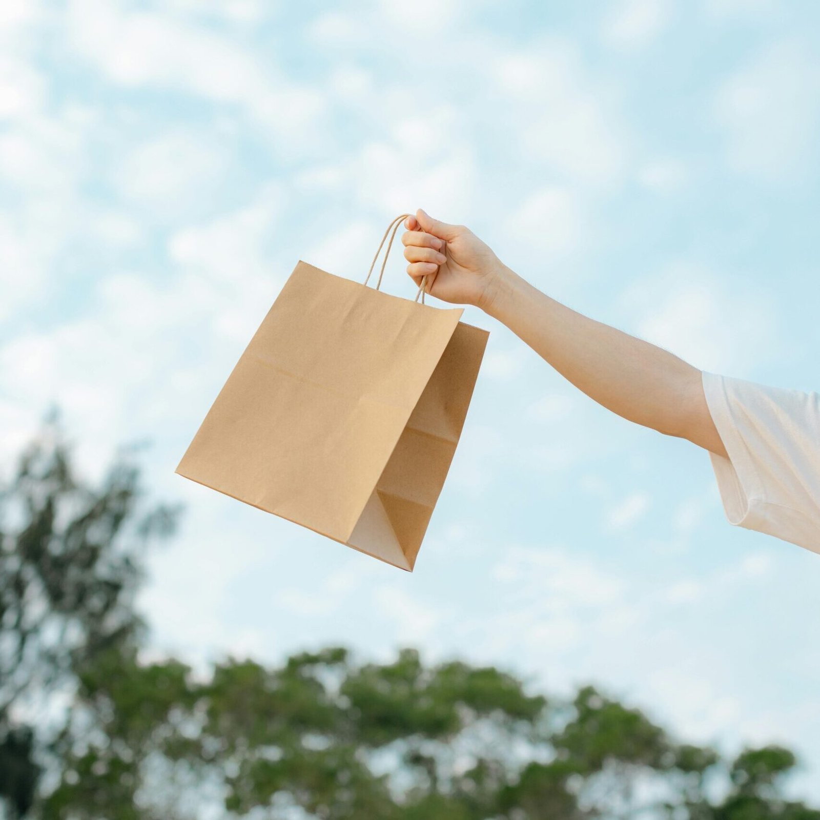 Paper Bags for Every Need: Eco and Custom Options