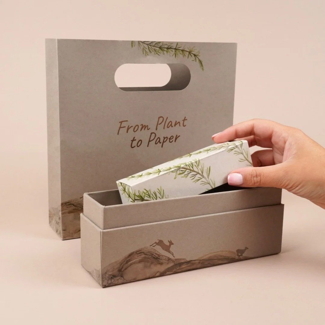 Bagasse Paper Packaging: Sustainable and Renewable Materials