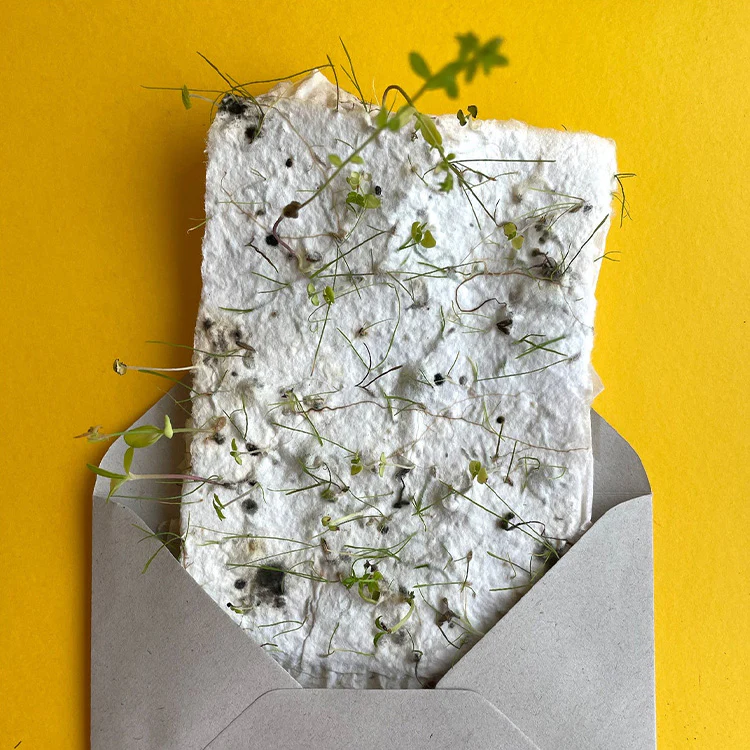 Seed Paper